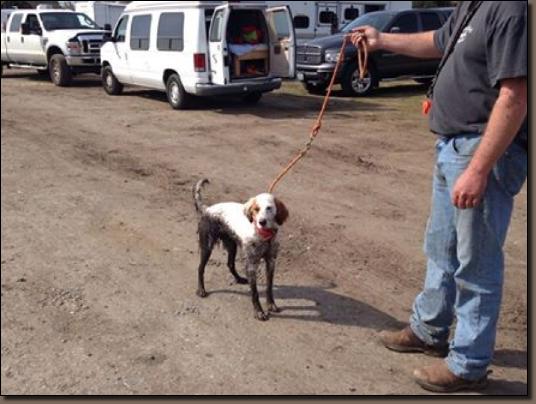 Losamuckyafteragreatrun